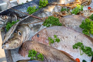 FAO Su Ürünleri Komitesi'nin (COFI) Açıklaması